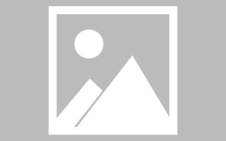 阳江免费建设门户网站（免费的网站建设）